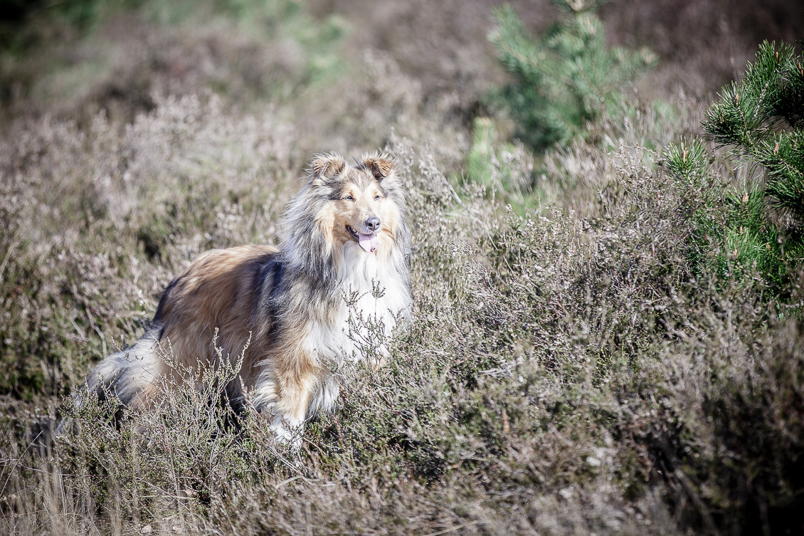 fotoshoot garderen